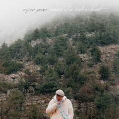 Sound Of Broken Heart