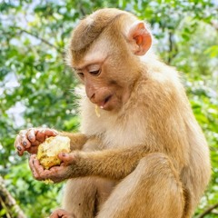 Hungry (Any Food You Like) [Vocal Sketch]