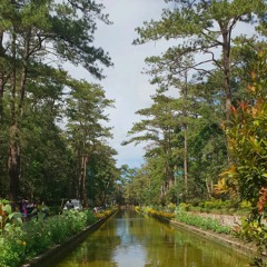 Ikaw Lamang (Cover).m4a