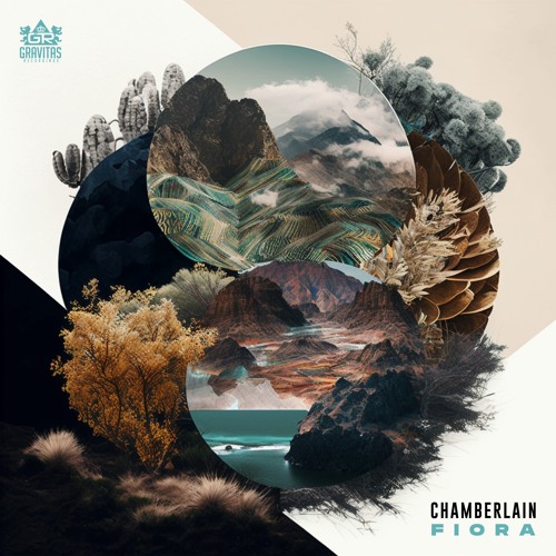 Chamberlain - Path To Shangri-La (VIP 2024)