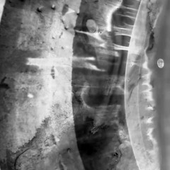 A Sky Of Lenses [2022]