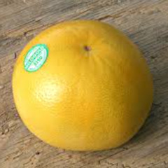 GRAPEFRUIT (WIP)