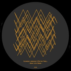 Alexander Johansson & Mattias Fridell - Counter Pulse Series 020