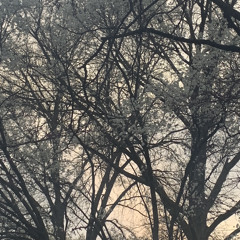 Portal - Virga (Deegan 4.6 mix)-24b.m4a