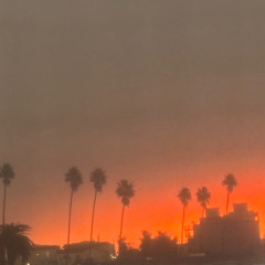 Scorched LA LandEscape