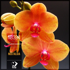 Shabboo Harper - Nostalgia (Original Mix)