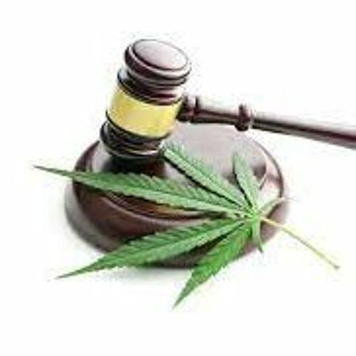 legalización de la marihuana -Oratoria Forense y Debate Jurídico U3