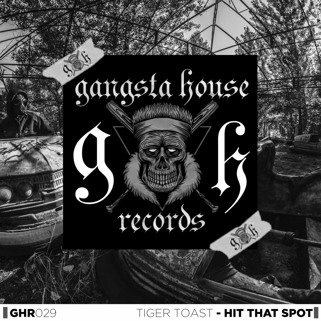 Stream GANGSTA HOUSE RECORDS | Listen to Tiger Toast - Hit