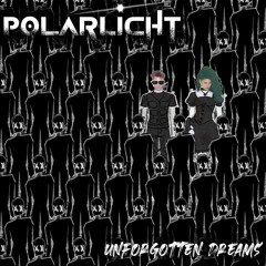 POLARLICHT - Distorted Hearts