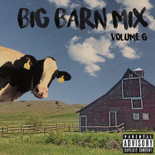 Big Barn Country Mix, Volume 6 (Vol 8 out)