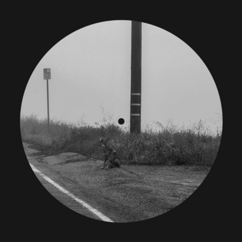 Dominic Fike - Misses (KONK Remix)