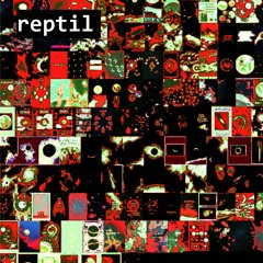 sergio camilloni - reptil