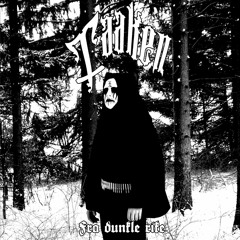 Impaled Nazarene - Kali-Yuga