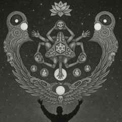 Reach for the Stars