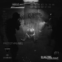 Prototype 002