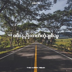 Idiots - ဝမ်းနည်းတတ်တဲ့ချစ်သူ (THE HARRY REMIX)