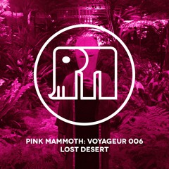 VOYAGEUR 006 : LOST DESERT