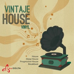 Vintaje House Vinyl Vol. 1