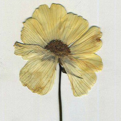 40.000.ветров</\cover/\>