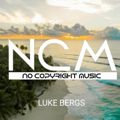 🎶 High Vibration - Luke Bergs 🎶  [Background Music] [NCM Release]