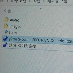 넌 왜 걸레짓을해?(feat.YXRD,PPP)