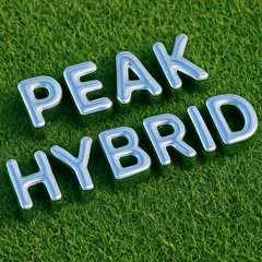 Peak Hybrid Summer 25'