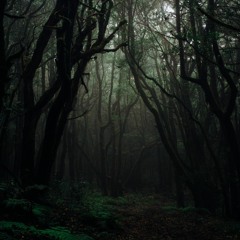 Ambient Thunder
