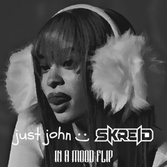 just john x Skreid - In A Mood Flip