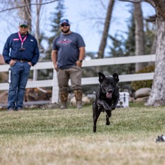E307 Eukanuba Duck Dog Series with Andrew and Raelynn Skluzacek