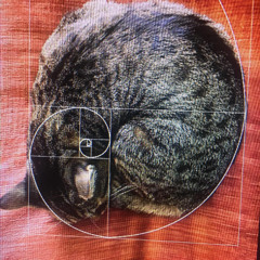 Purfect