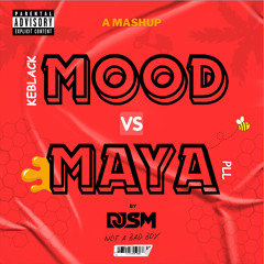 DJ SM - Mood x Maya REMIX AFRO (extd - Acap out)