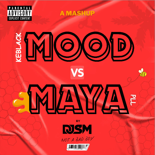 DJ SM - Mood x Maya REMIX AFRO (extd - Acap out)