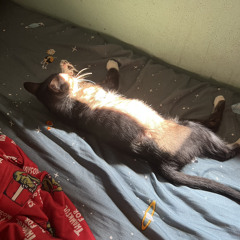 anh yêu em nhiểu lắm remix