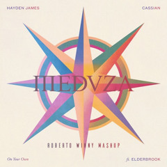 015 Cassian & Hayden James x Meduza - On your own (Roberto Winny Mashup)