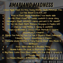 AMAPIANO MADNESS