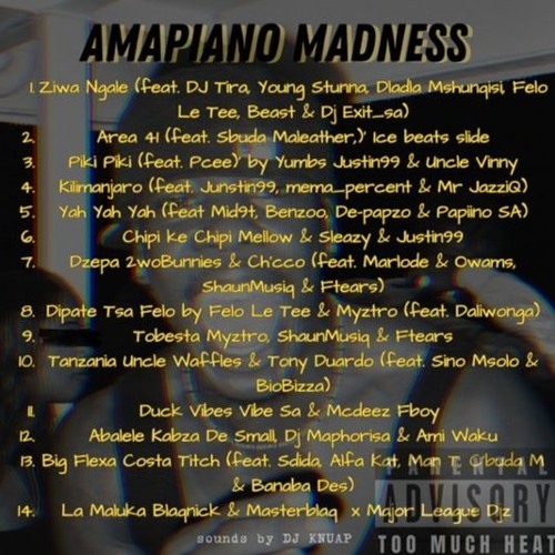 AMAPIANO MADNESS
