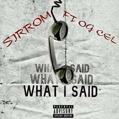 What I Said (feat. OG Cel)