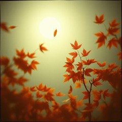 The rustles of loves vanished..wav