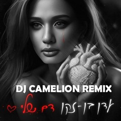 עדן בן זקן - דם שלי (Dj Camelion Extended Remix)