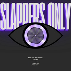 Slappers Mix 1.0 (idk just songs i like really)