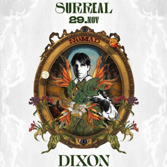 Dixon - 29.11.2024 - @Surreal Park - Nomad Stage