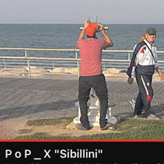 P o P _ X Sibillini.mp3
