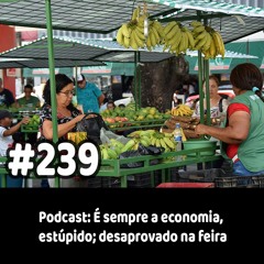 239 - Podcast: É sempre a economia, estúpido; desaprovado na feira