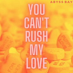 You Can't Rush My Love (Radio Edit)