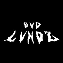 BVd LVndz DJ Set
