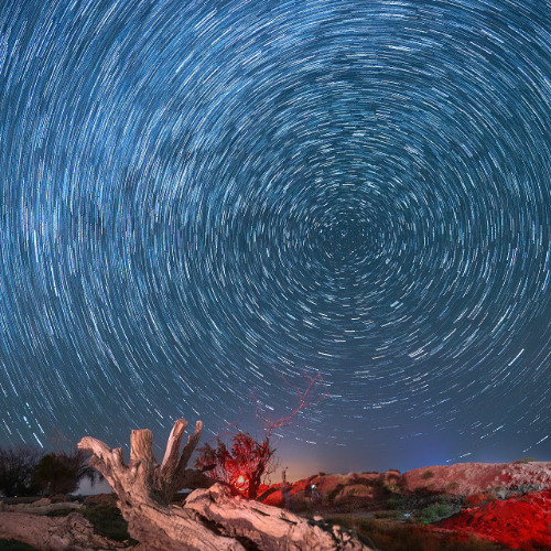 one take freestyle and go