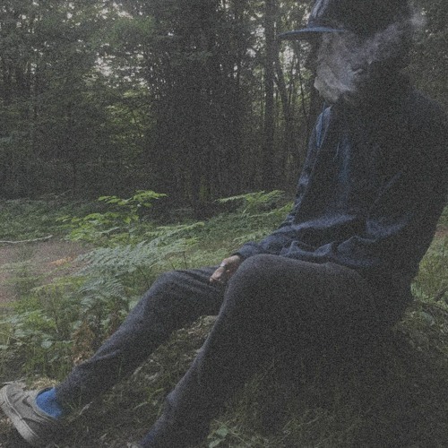 Like it or not (Prod. CapsCtrl)