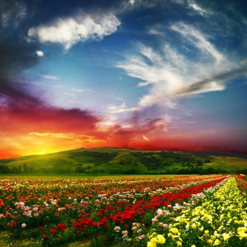 Belowremix Instrumental DOWNLOAD