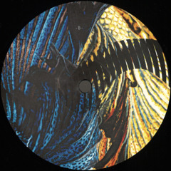Premiere : Duc In Altum - Yanomamis (Sepp Remix) (RHZ005)