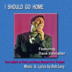 I Should Go Home - BACA - 2009 Live